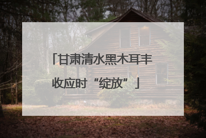 甘肃清水黑木耳丰收应时“绽放”