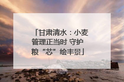 甘肃清水：小麦管理正当时 守护粮“芯”绘丰景