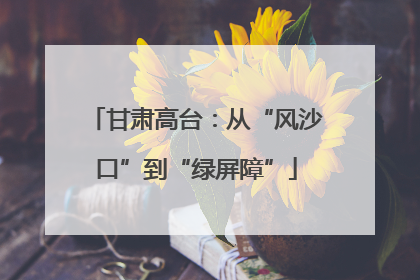 甘肃高台：从“风沙口”到“绿屏障”