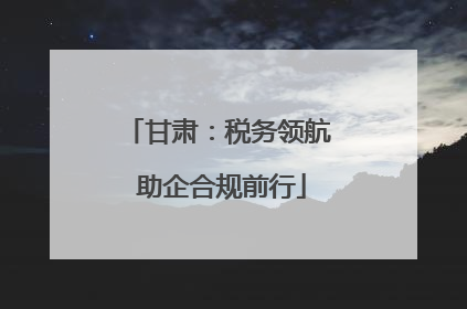 甘肃：税务领航 助企合规前行