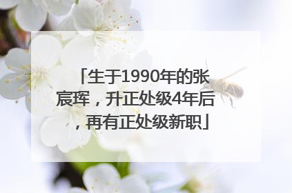 生于1990年的张宸珲，升正处级4年后，再有正处级新职