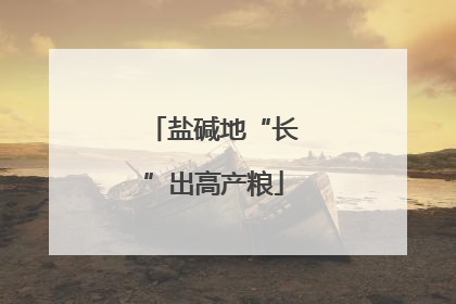 盐碱地“长”出高产粮