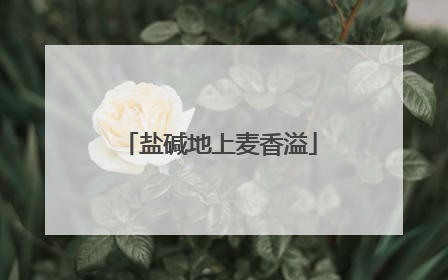 盐碱地上麦香溢