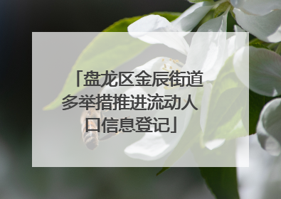盘龙区金辰街道多举措推进流动人口信息登记