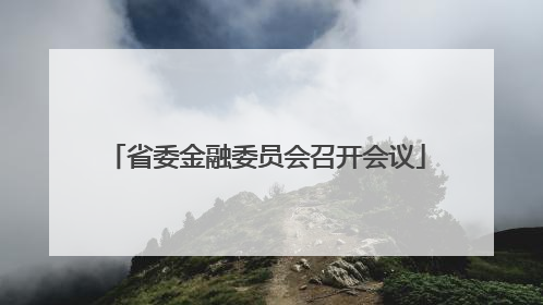 省委金融委员会召开会议