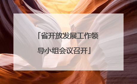 省开放发展工作领导小组会议召开