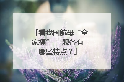 看我国航母“全家福” 三舰各有哪些特点？