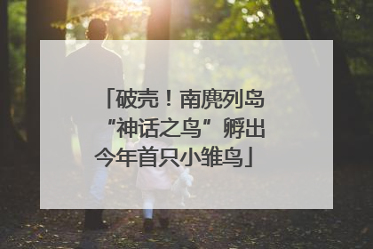 破壳！南麂列岛“神话之鸟”孵出今年首只小雏鸟
