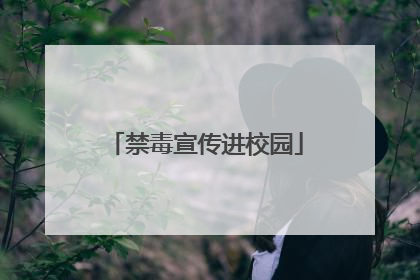 禁毒宣传进校园