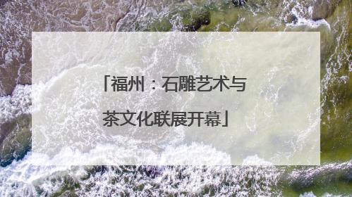 福州：石雕艺术与茶文化联展开幕