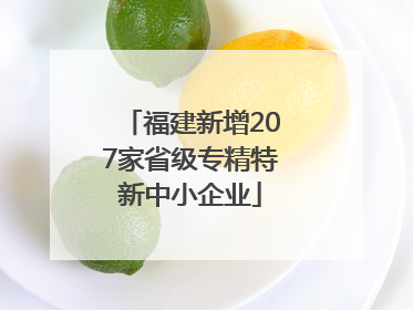 福建新增207家省级专精特新中小企业