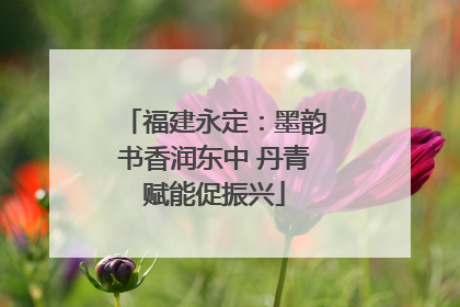福建永定：墨韵书香润东中 丹青赋能促振兴
