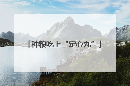 种粮吃上“定心丸”