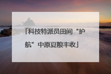 科技特派员田间“护航”中原夏粮丰收
