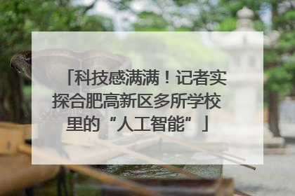 科技感满满！记者实探合肥高新区多所学校里的“人工智能”
