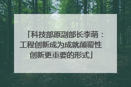 科技部原副部长李萌：工程创新成为成就颠覆性创新更重要的形式