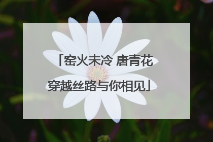 窑火未冷 唐青花穿越丝路与你相见