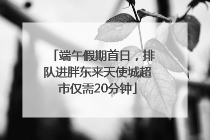 端午假期首日，排队进胖东来天使城超市仅需20分钟