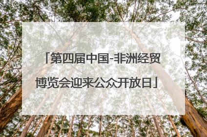 第四届中国-非洲经贸博览会迎来公众开放日