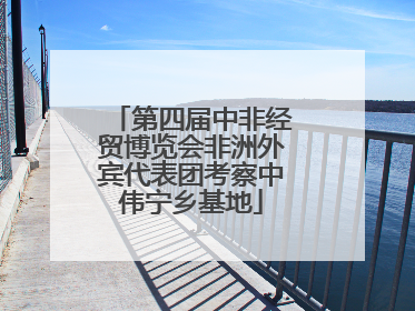 第四届中非经贸博览会非洲外宾代表团考察中伟宁乡基地