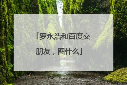 罗永浩和百度交朋友，图什么