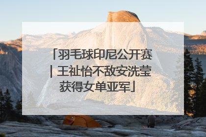 羽毛球印尼公开赛｜王祉怡不敌安洗莹 获得女单亚军