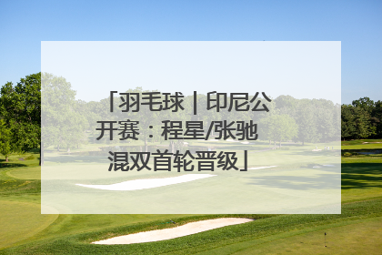 羽毛球｜印尼公开赛：程星/张驰混双首轮晋级