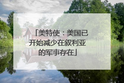 美特使：美国已开始减少在叙利亚的军事存在