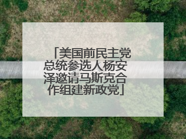 美国前民主党总统参选人杨安泽邀请马斯克合作组建新政党