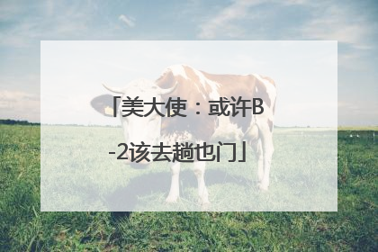 美大使：或许B-2该去趟也门