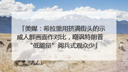 美媒：希拉里用挤满街头的示威人群画面作对比，嘲讽特朗普“低能量”阅兵式观众少