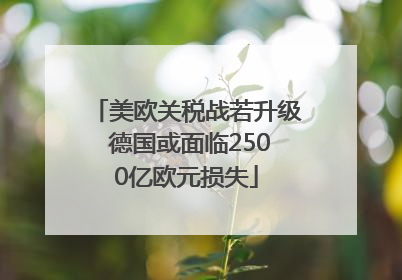 美欧关税战若升级 德国或面临2500亿欧元损失
