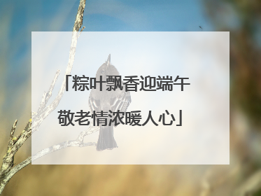 粽叶飘香迎端午 敬老情浓暖人心