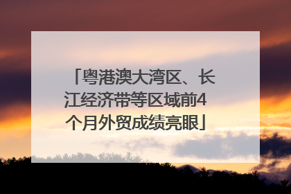 粤港澳大湾区、长江经济带等区域前4个月外贸成绩亮眼