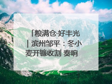 粮满仓·好丰光｜滨州邹平：冬小麦开镰收割 奏响夏日丰收曲