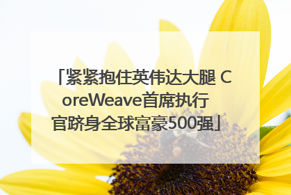 紧紧抱住英伟达大腿 CoreWeave首席执行官跻身全球富豪500强