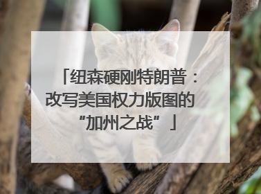 纽森硬刚特朗普：改写美国权力版图的 “加州之战”
