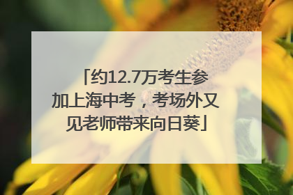 约12.7万考生参加上海中考，考场外又见老师带来向日葵