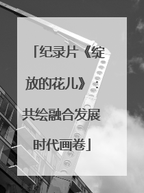 纪录片《绽放的花儿》：共绘融合发展时代画卷