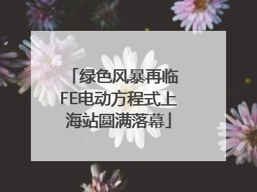 绿色风暴再临 FE电动方程式上海站圆满落幕