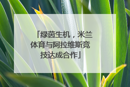 绿茵生机，米兰体育与阿拉维斯竞技达成合作