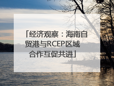 经济观察：海南自贸港与RCEP区域合作互促共进