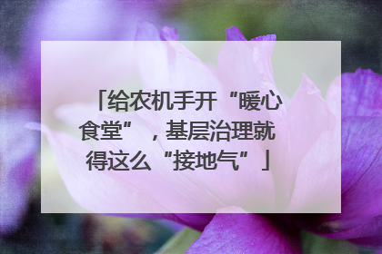 给农机手开“暖心食堂”，基层治理就得这么“接地气”