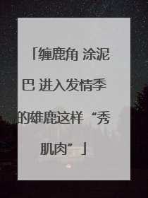 缠鹿角 涂泥巴 进入发情季的雄鹿这样“秀肌肉”