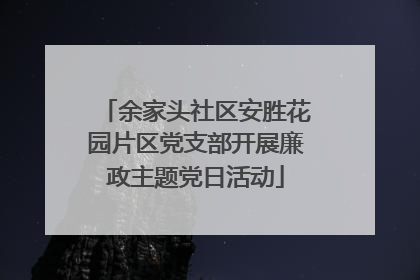 余家头社区安胜花园片区党支部开展廉政主题党日活动