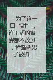 为了这一口“甜”，连干活的蜜蜂都不放过，诸暨两男子被抓
