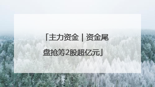 主力资金｜资金尾盘抢筹2股超亿元