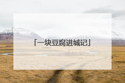 一块豆腐进城记