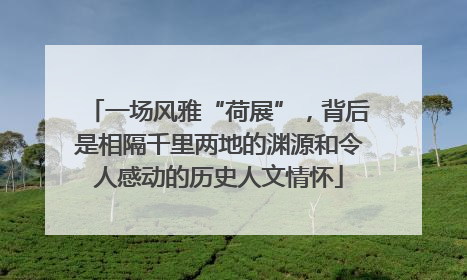 一场风雅“荷展”，背后是相隔千里两地的渊源和令人感动的历史人文情怀