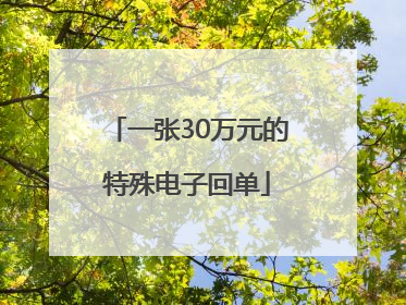 一张30万元的特殊电子回单